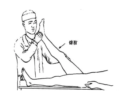 腰椎间盘突出 腰椎间盘突出