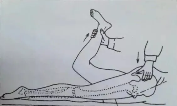 股神经牵拉试验 股神经牵拉试验