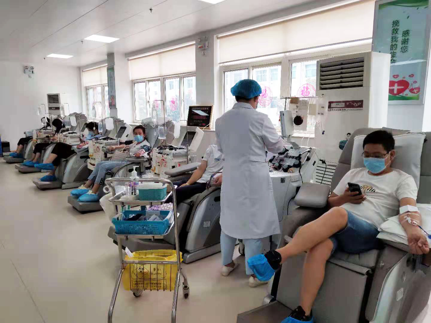 单采成分血、机采血小板献血中 单采成分血、机采血小板献血中